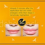 ست حجم دهنده لب اولاین مدل Eveline Lip Therapy