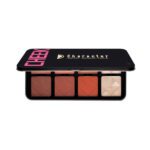 پالت رژگونه و هایلایتر کارکتر C-A201